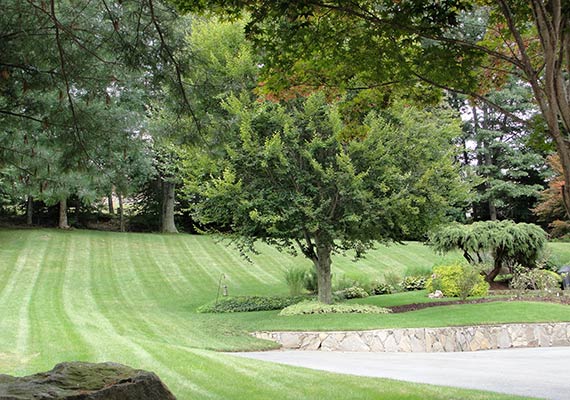 Mowing Tips